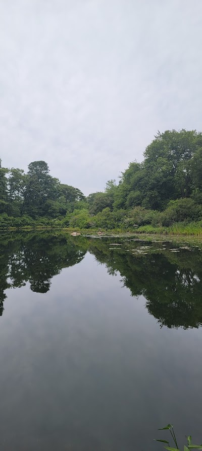 Photo 5 of Carter Beal Conservation Area