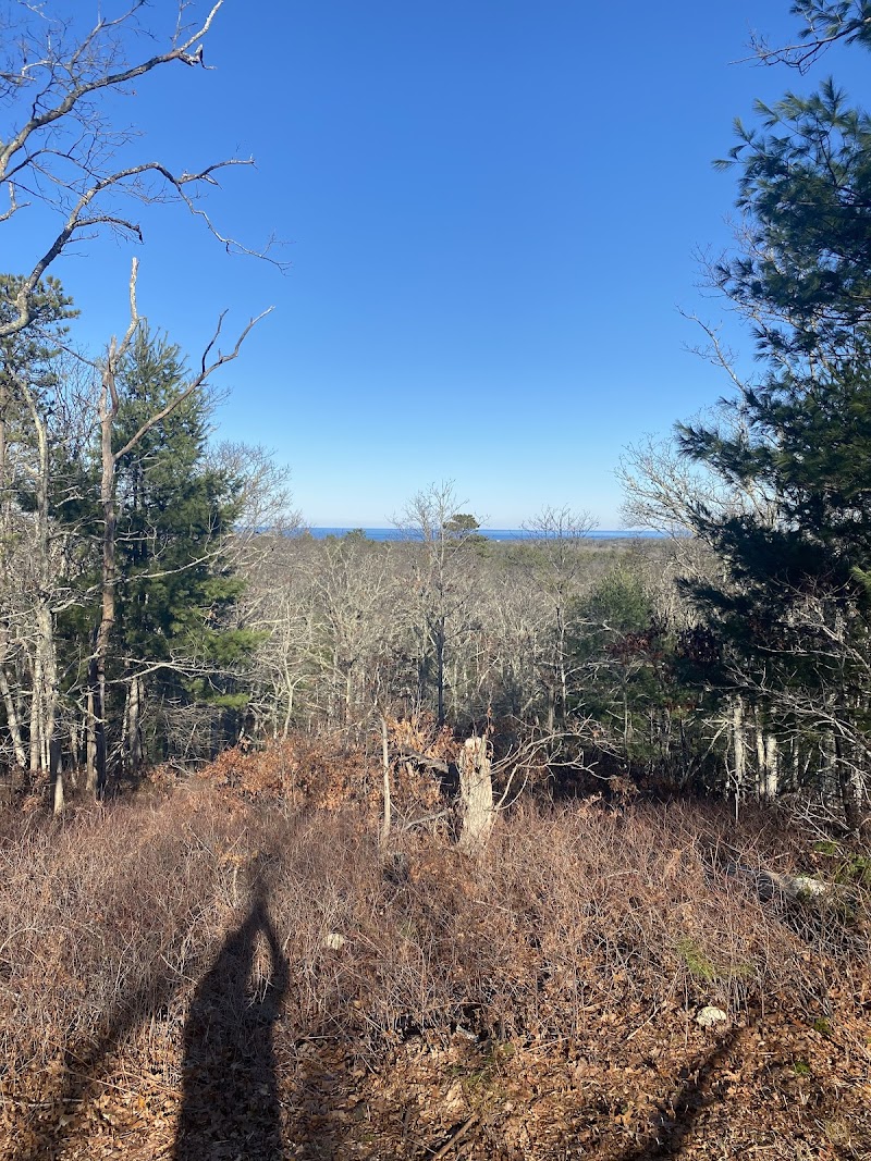 Photo of Sam Nye Hill Lookout