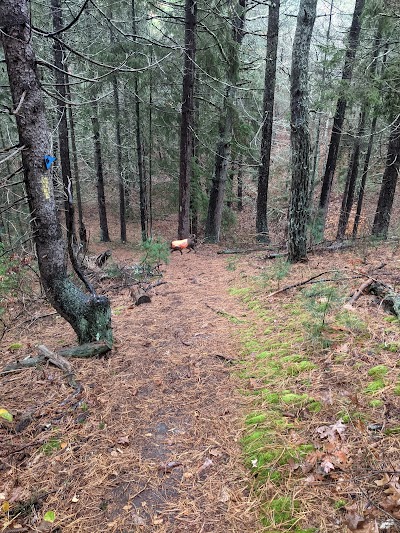 Photo 2 of Old Sandwich Game Farm Wildlife Management Area