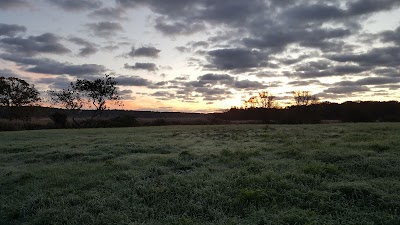 Photo 5 of Old Sandwich Game Farm Wildlife Management Area