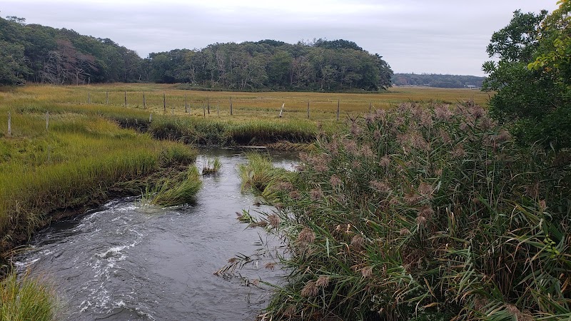 Photo of Old Sandwich Game Farm Wildlife Management Area