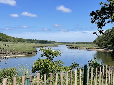Photo 3 of Old Sandwich Game Farm Wildlife Management Area