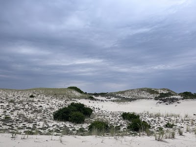 Photo 4 of Sandy Neck Trail Head and Parking