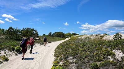 Photo 5 of Sandy Neck Trail Head and Parking