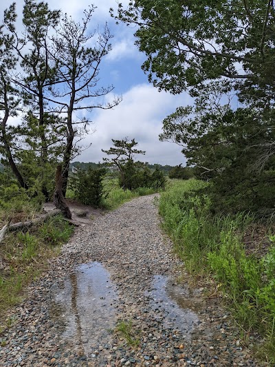 Photo 2 of Sandy Neck Trail Head and Parking