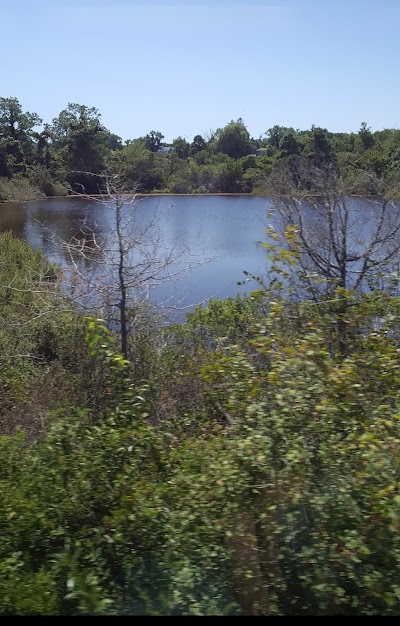 Photo 4 of Great Marshes