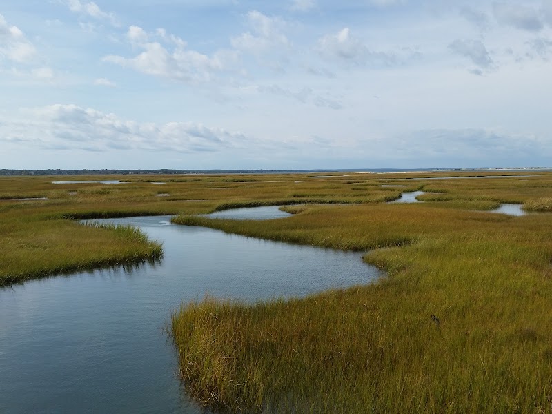 Photo of Great Marshes