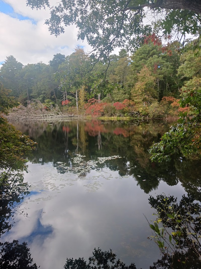 Photo of William & Barbara Hacker Wildlife Sanctuary & Town Island Pond Conservation Land Trail Head