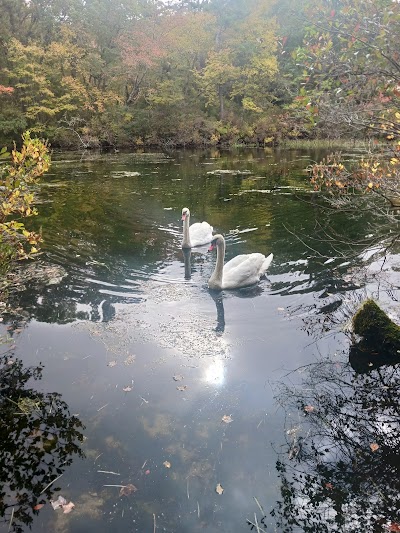 Photo 2 of William & Barbara Hacker Wildlife Sanctuary & Town Island Pond Conservation Land Trail Head