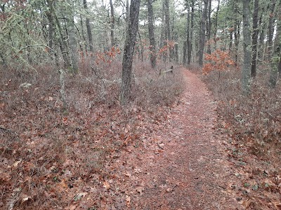Photo 3 of William & Barbara Hacker Wildlife Sanctuary & Town Island Pond Conservation Land Trail Head