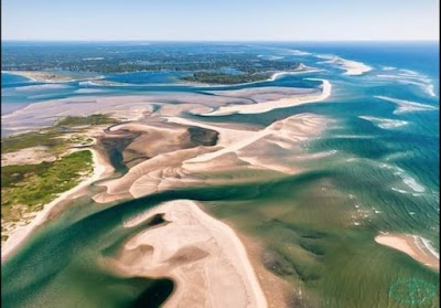 Photo 5 of Monomoy National Wildlife Refuge
