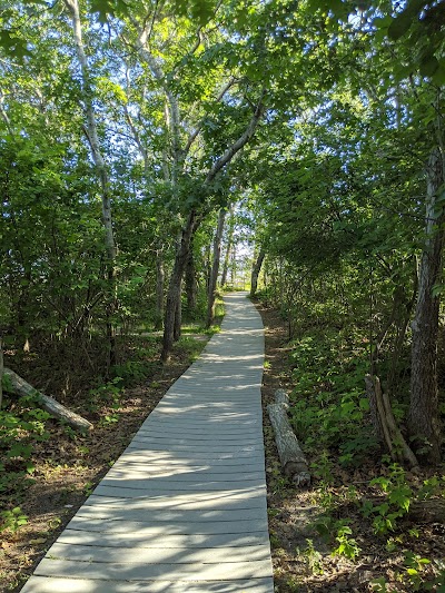 Photo 4 of Monomoy National Wildlife Refuge