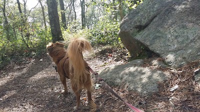 Photo 2 of Little Bay Walking Trails