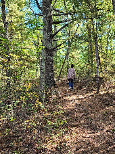 Photo 3 of Little Bay Walking Trails