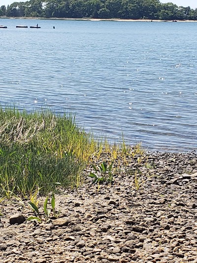 Photo 4 of Little Bay Walking Trails