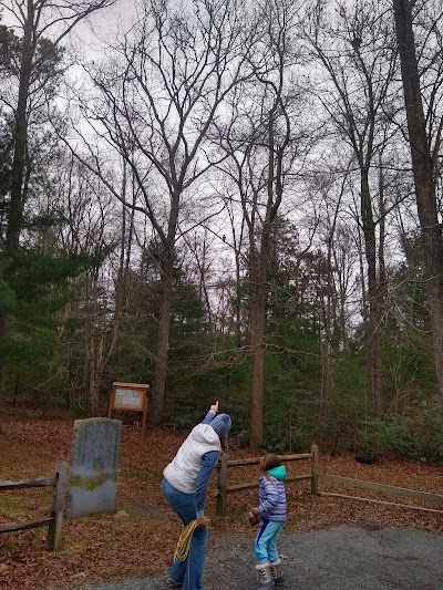 Photo 4 of Whelan Conservation Area
