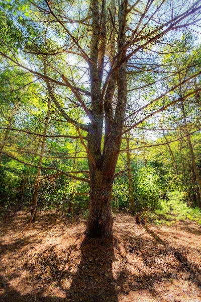 Photo 2 of Whelan Conservation Area