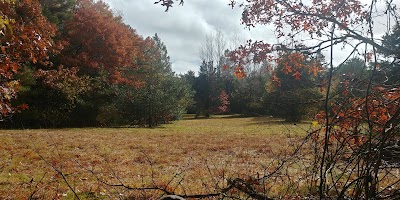 Photo 3 of Whelan Conservation Area