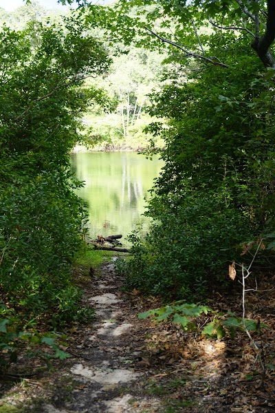 Photo 2 of No Bottom Pond Trail