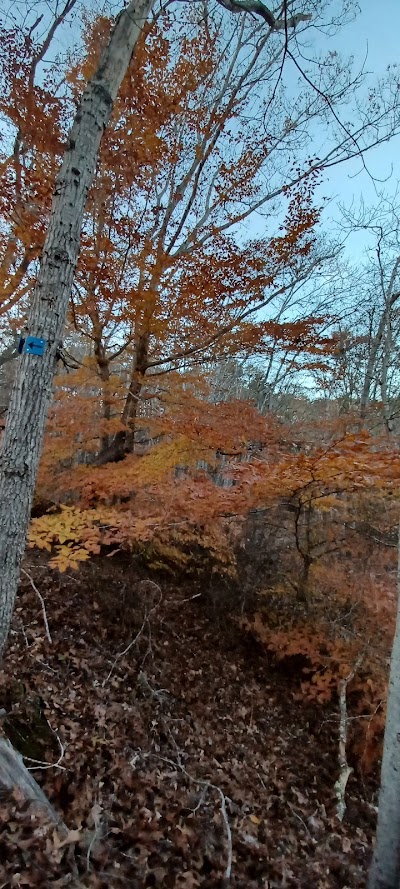 Photo 5 of No Bottom Pond Trail