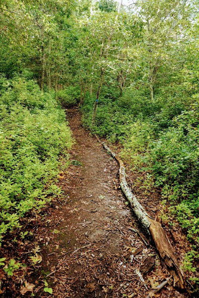 Photo 4 of No Bottom Pond Trail