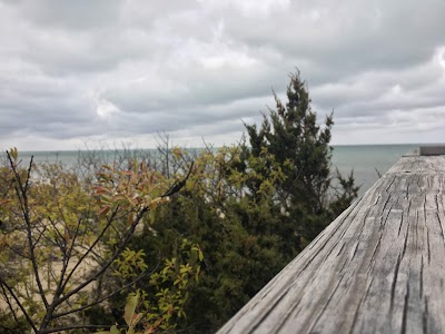 Photo 4 of Spruce Hill Conservation Area