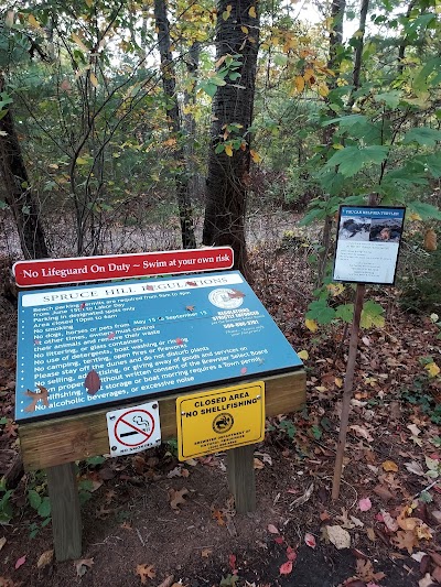 Photo 5 of Spruce Hill Conservation Area