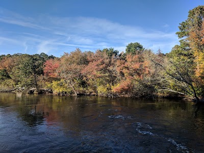 Photo 3 of Crab Creek Conservation Area