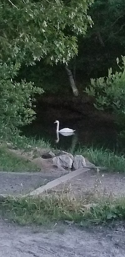 Photo 4 of Crab Creek Conservation Area
