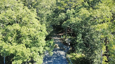 Photo 5 of Pleasant Bay Woodlands