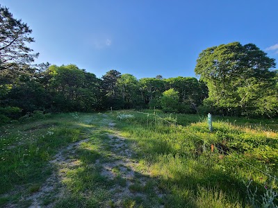 Pleasant Bay Woodlands
