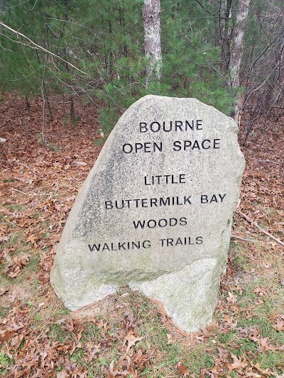Little Buttermilk Bay Woods