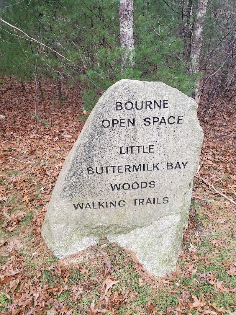 Photo of Little Buttermilk Bay Woods