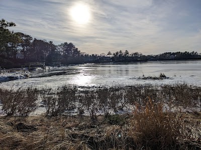 Photo 2 of Little Buttermilk Bay Woods
