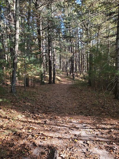 Photo 3 of Little Buttermilk Bay Woods