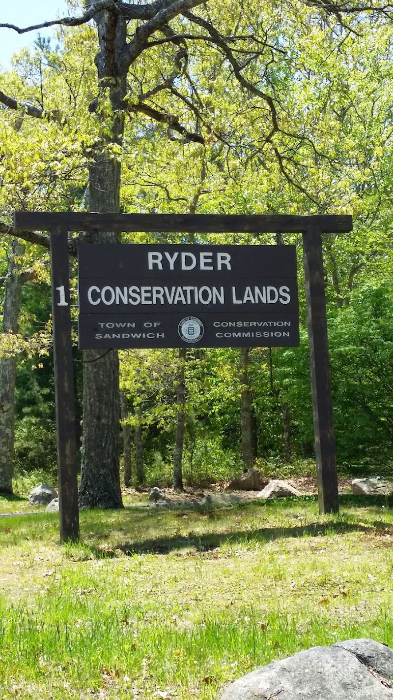 Photo of Ryder Conservation Land at Wakeby Pond