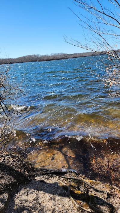 Photo 5 of Ryder Conservation Land at Wakeby Pond