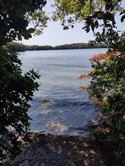 Photo 2 of Ryder Conservation Land at Wakeby Pond
