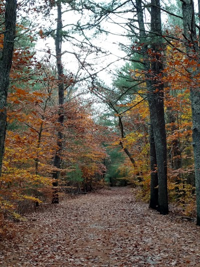 Photo 3 of Ryder Conservation Land at Wakeby Pond