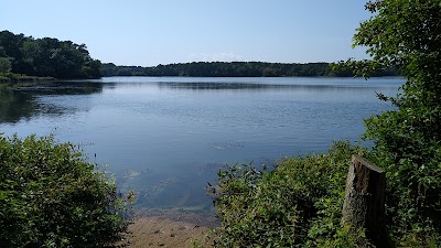 Photo 2 of Bell’s Neck Conservation Lands