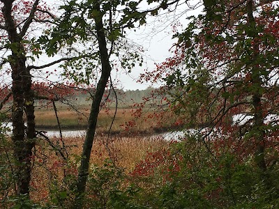 Photo 4 of Bell’s Neck Conservation Lands