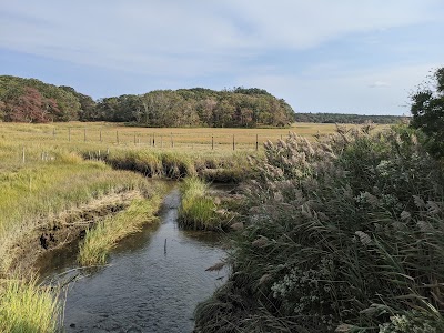 Photo 4 of Talbot's Point Conservation Area