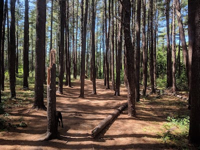 Talbot’s Point Conservation Area